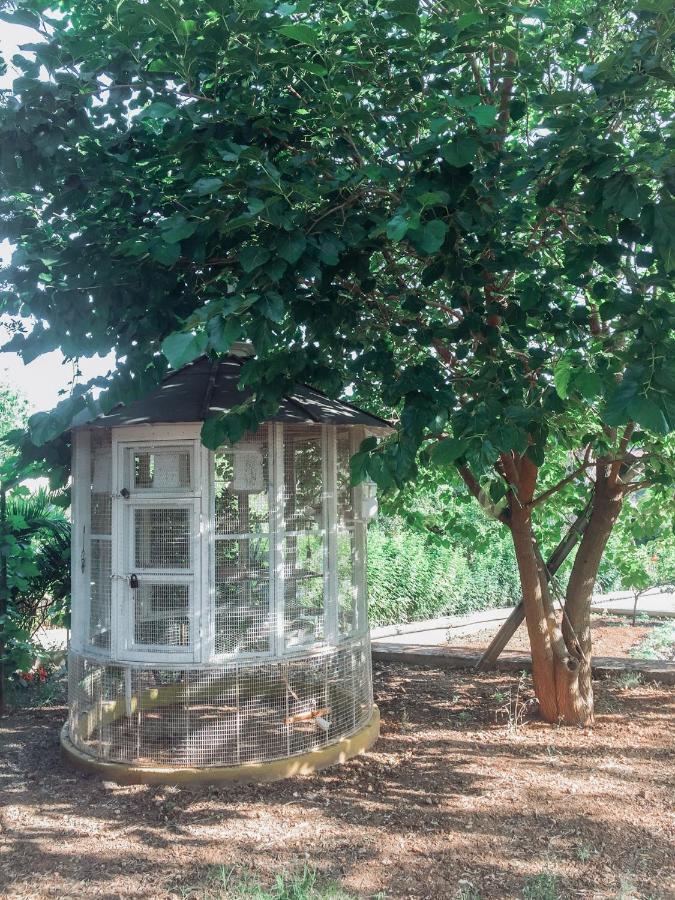 Agrilia Maison Razáta Exterior foto